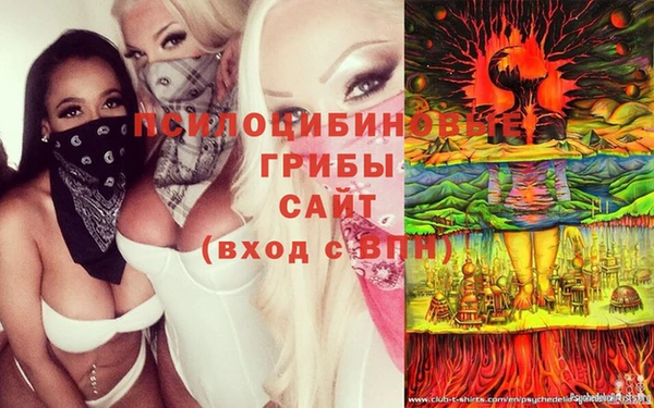 прущая мука Бородино