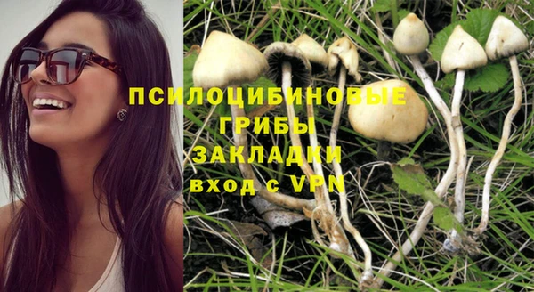 прущая мука Бородино