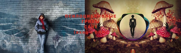 ECSTASY Бугульма