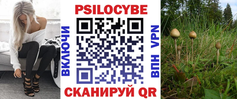 Псилоцибиновые грибы GOLDEN TEACHER  Купить  Лермонтов 
